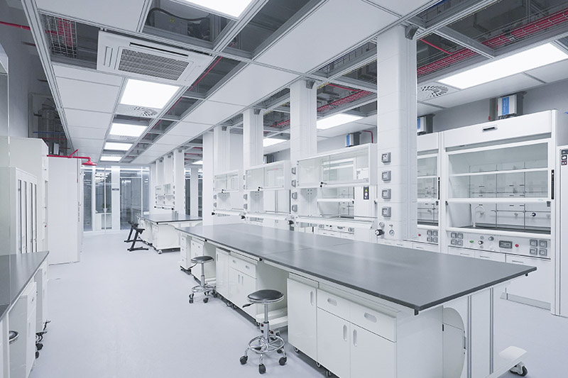 大丰实验室革新：安全与科技的现代融合